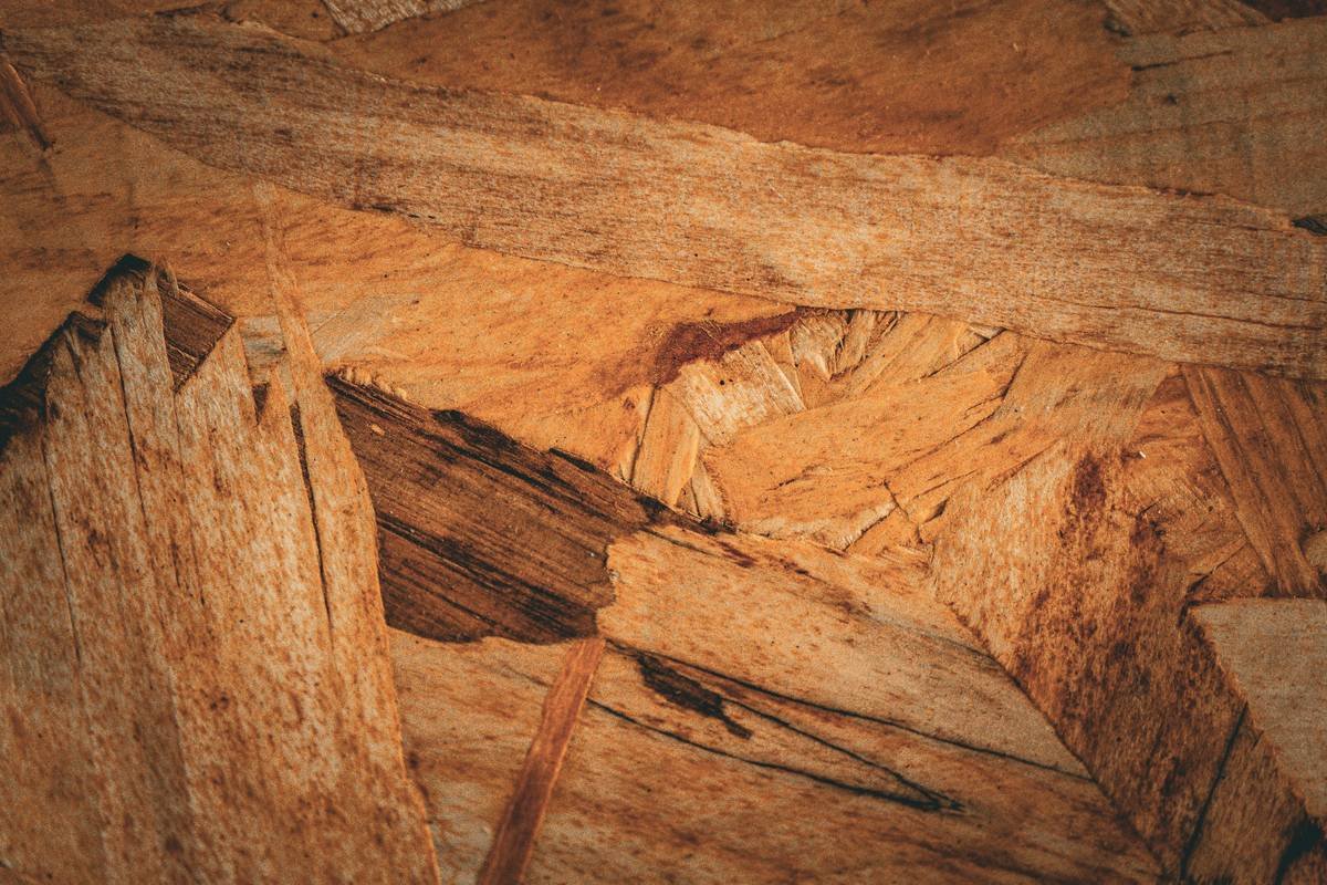 Abrasive Discs for Wood: The Right Grit, Disc & Tool to Avoid Ruining Your Project