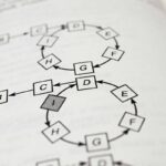 Why Your Career Needs the Right Certification for Supply Chain Professionals—And How to Nail It